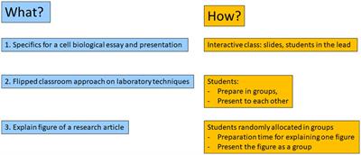Making confident and competent readers of Cell, Nature and Science papers using a flipped classroom approach to introduce protein detection techniques